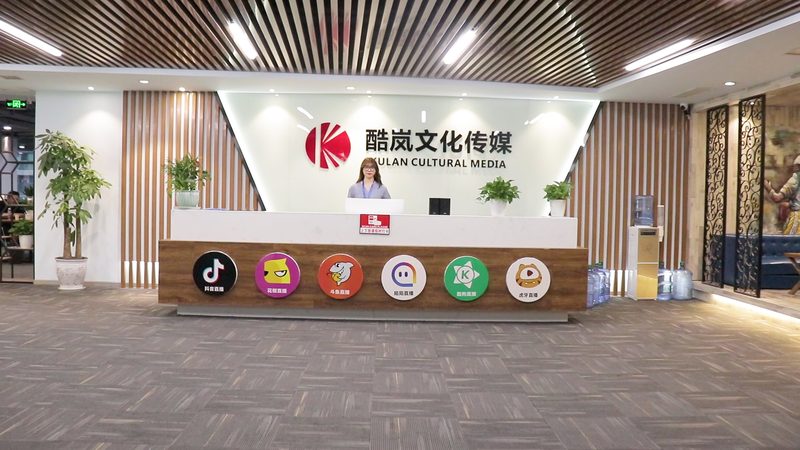 品牌发布会活动策划：揭秘专业公司背后的策略与考量